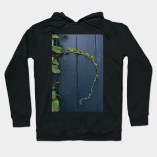 vines Hoodie